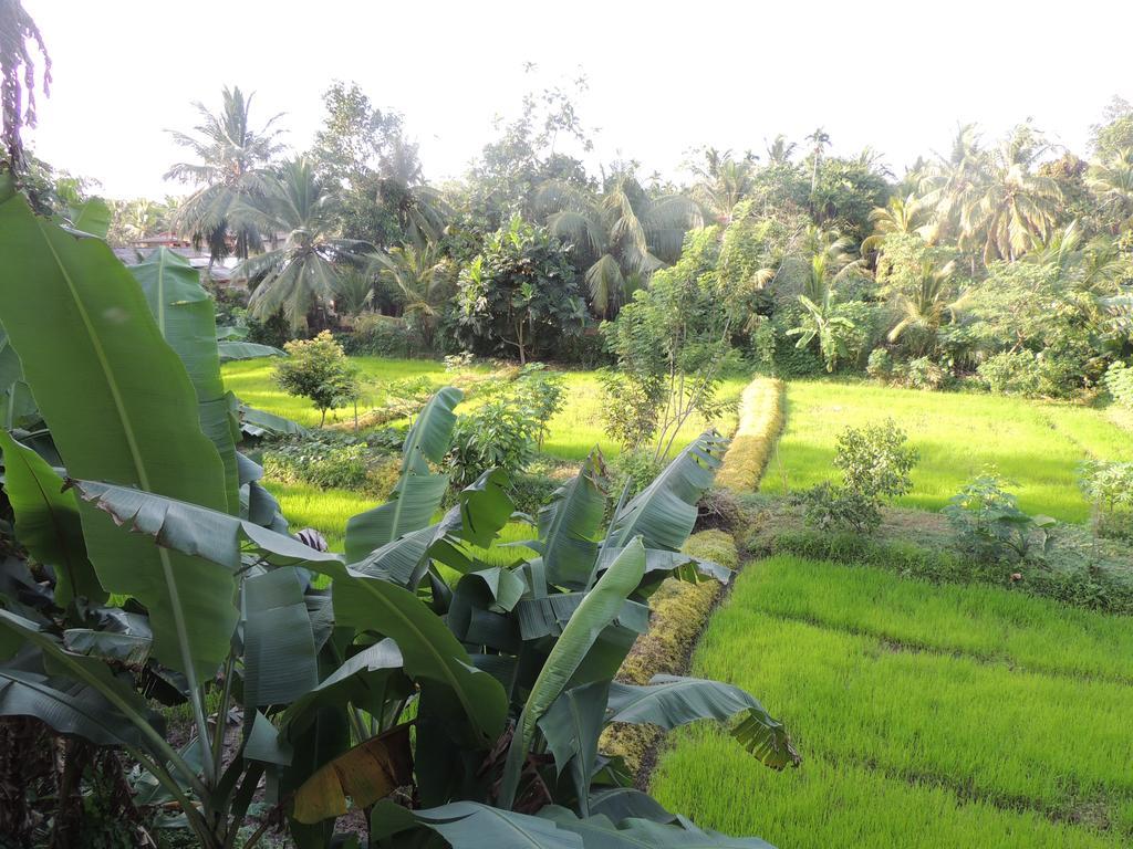 Arana Bungalow Galle Eksteriør bilde